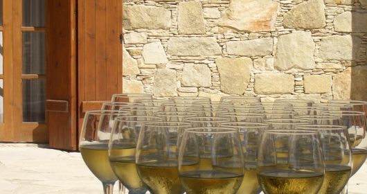Wine Tour (Kolosssi Castle – Cyprus Wine Museum - Winery) 